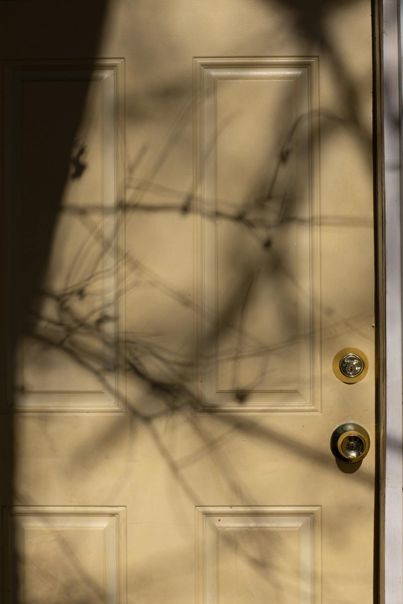 Front door of a house | Source: Pexels